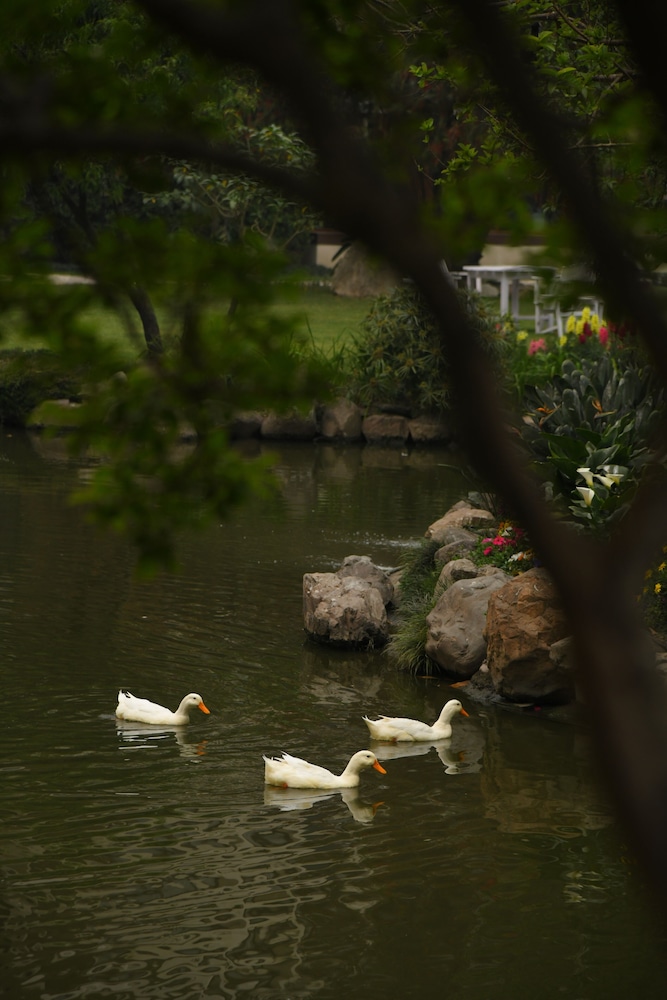 surroundings