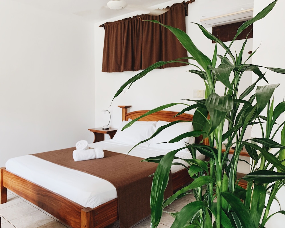 Hotel Villa Del Sol 18/50