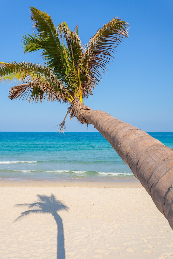 The Samui Beach Resort 60/75