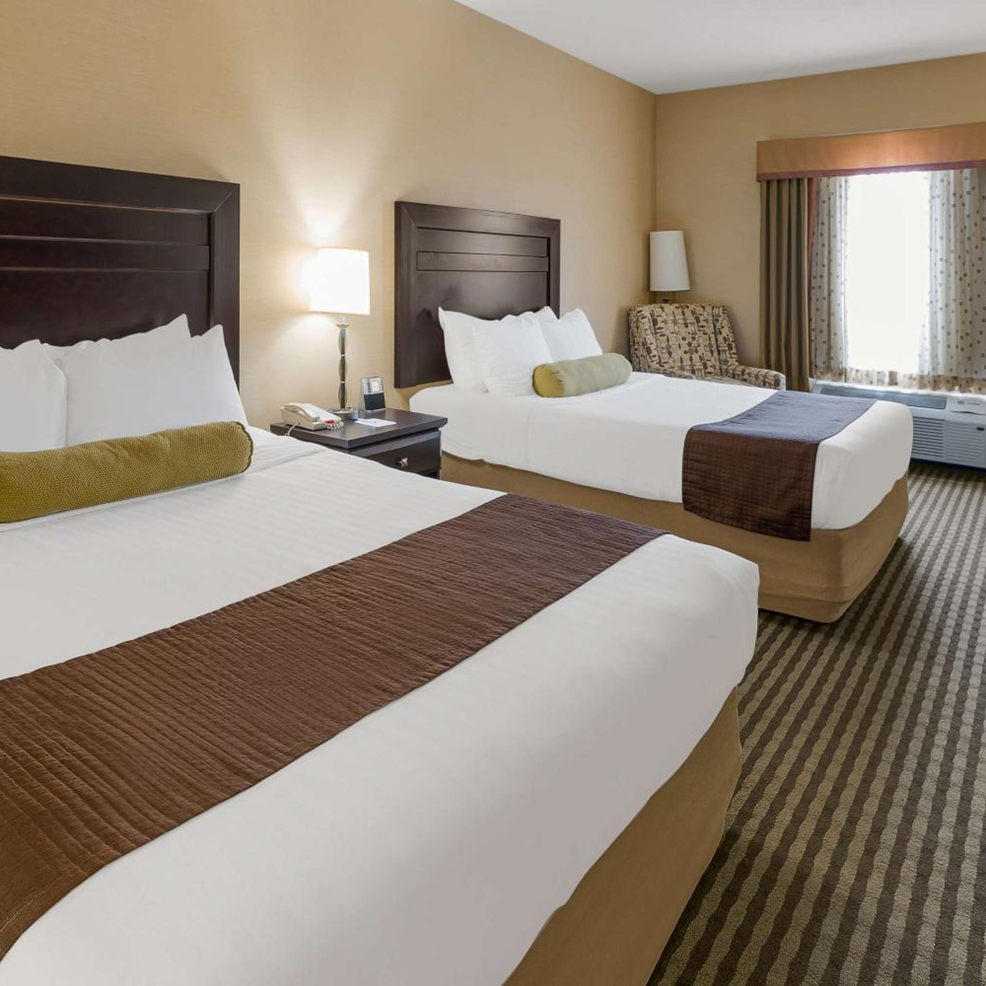 Room, King Bed, 2 Queen Beds, Pet Friendly