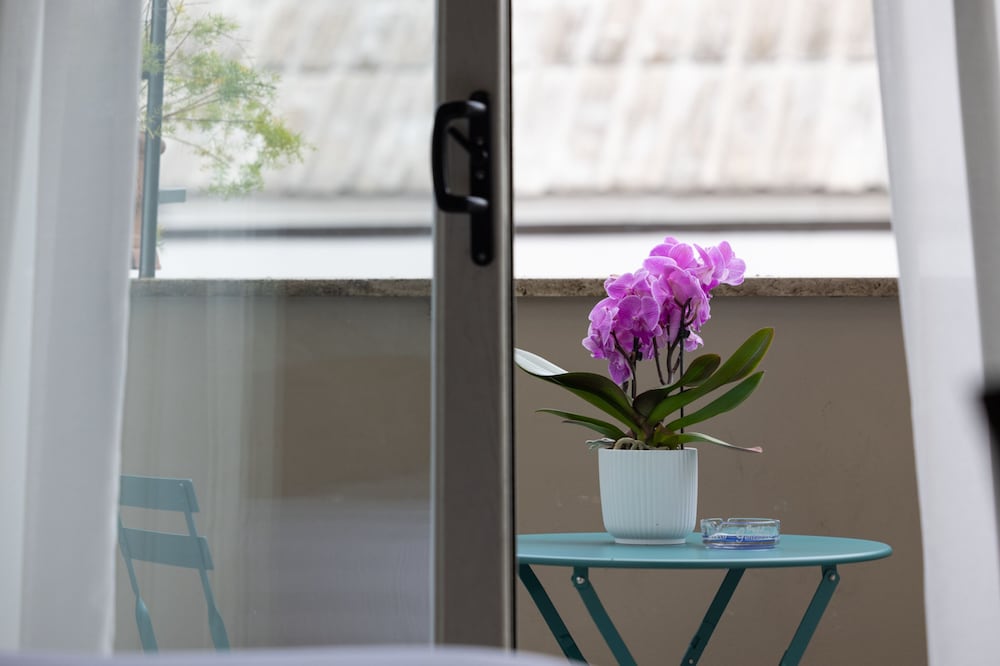 Roof Garden Zaccardi 16/50