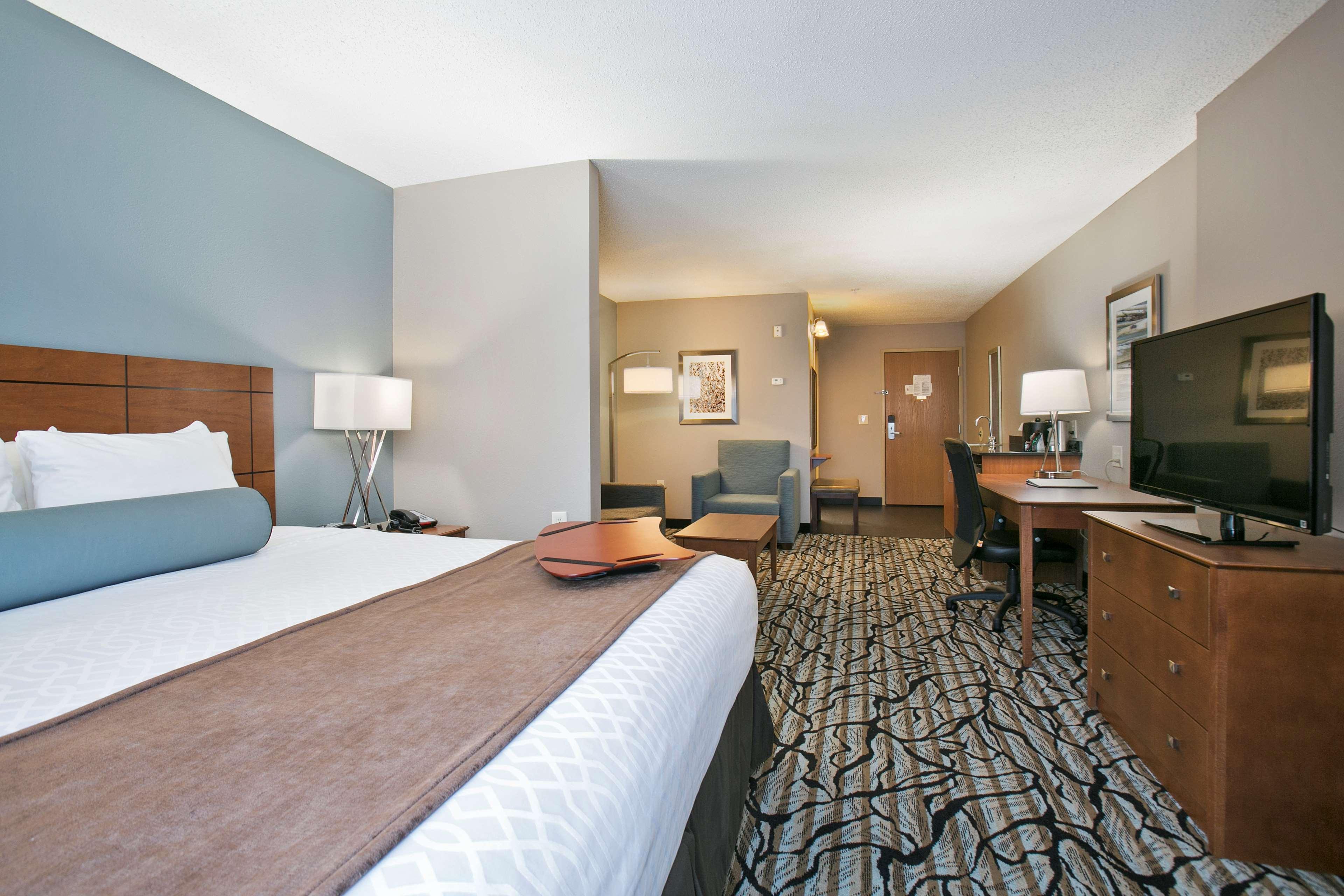 Suite, King Bed