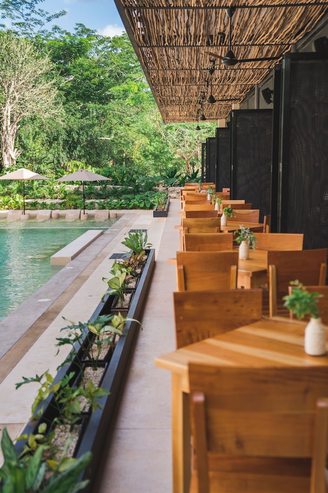 Destino Mio Mayan Jungle Retreat 47/56