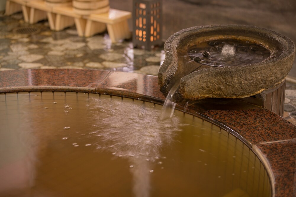 Katanose Onsen Yumoto Kobayashi 19/37