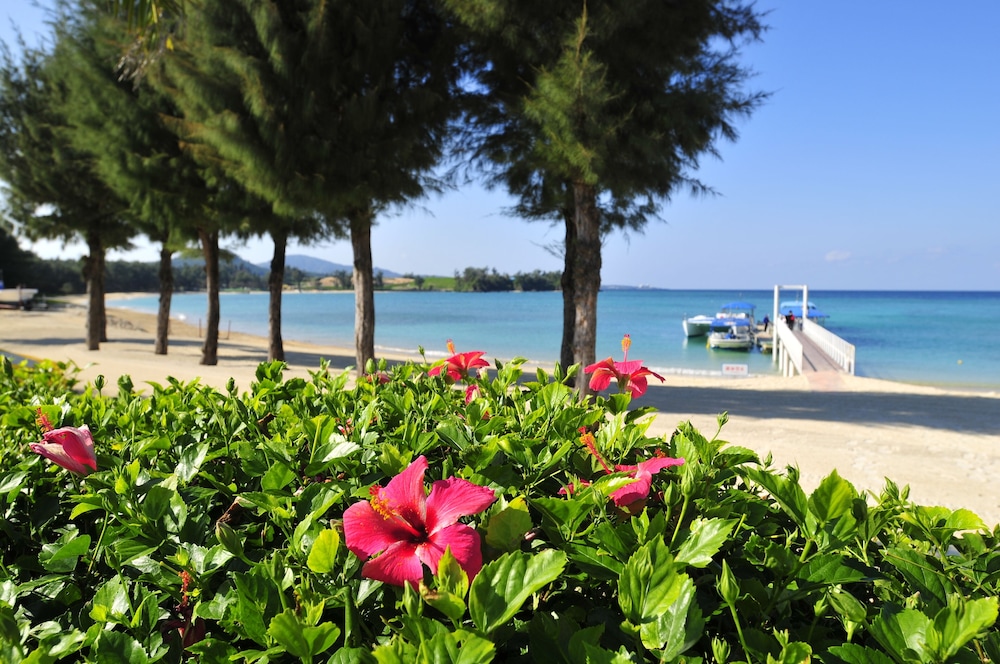 OKINAWA KARIYUSHI LCH.RESORT on The Beach 34/50