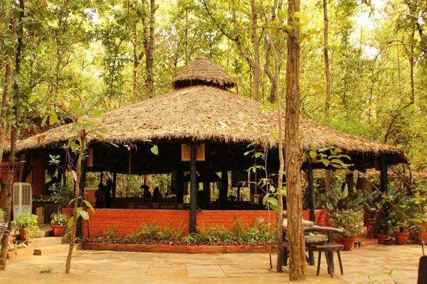 Kanha Jungle Lodge 5/25