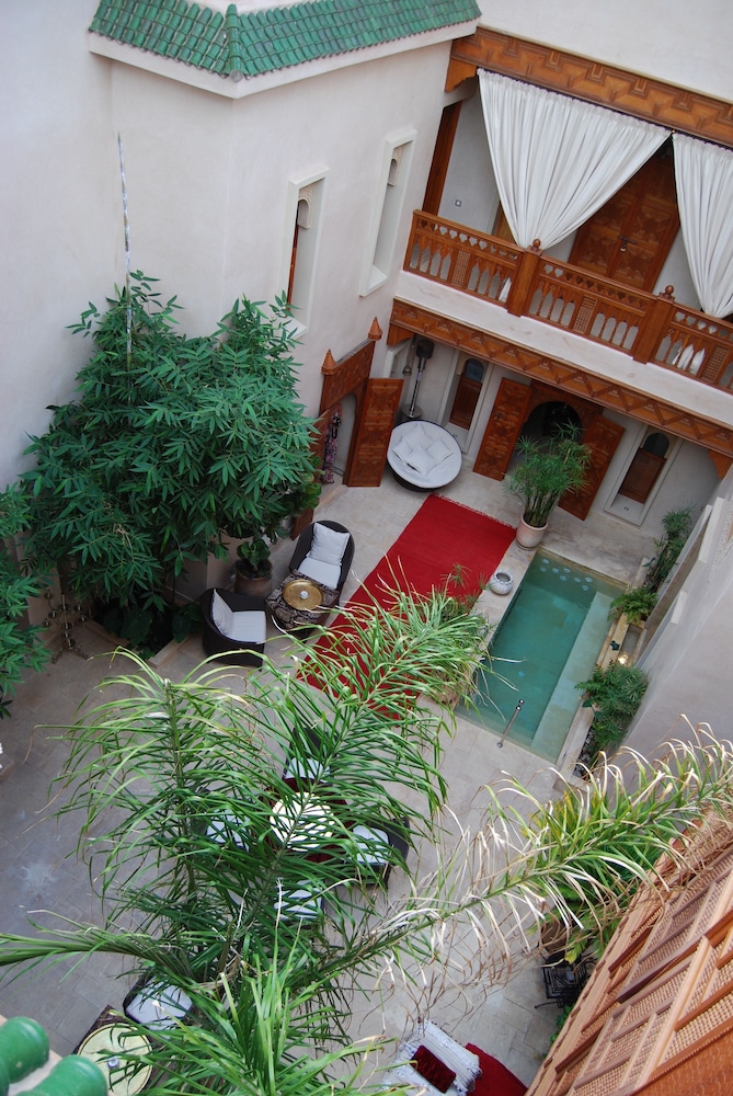 RIAD FLAM 1/50