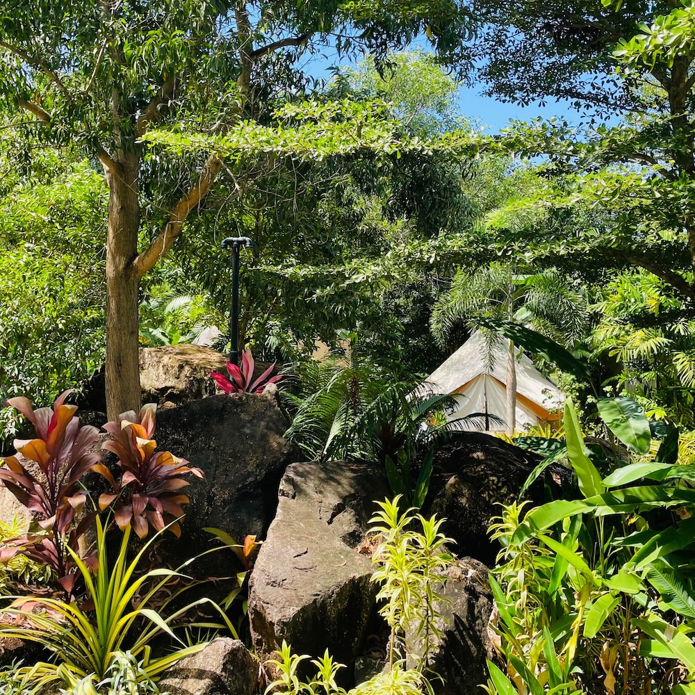 Roost Glamping 34/49