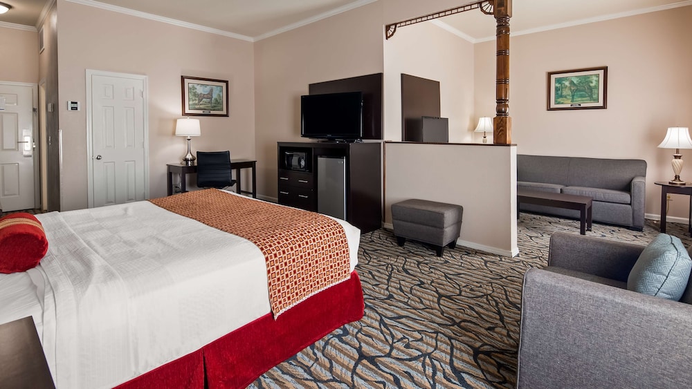 Best Western Spring Hill Inn & Suites 11/32