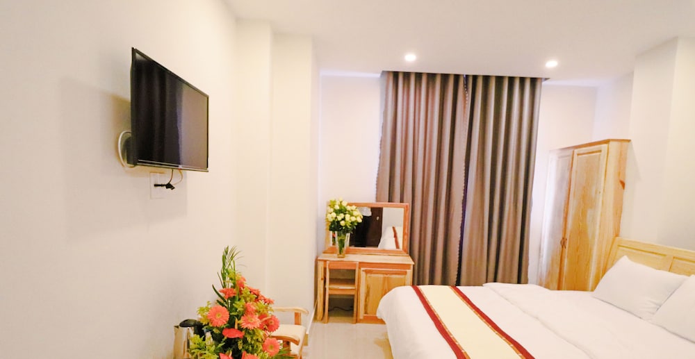 Mai Hoang Hotel 34/70