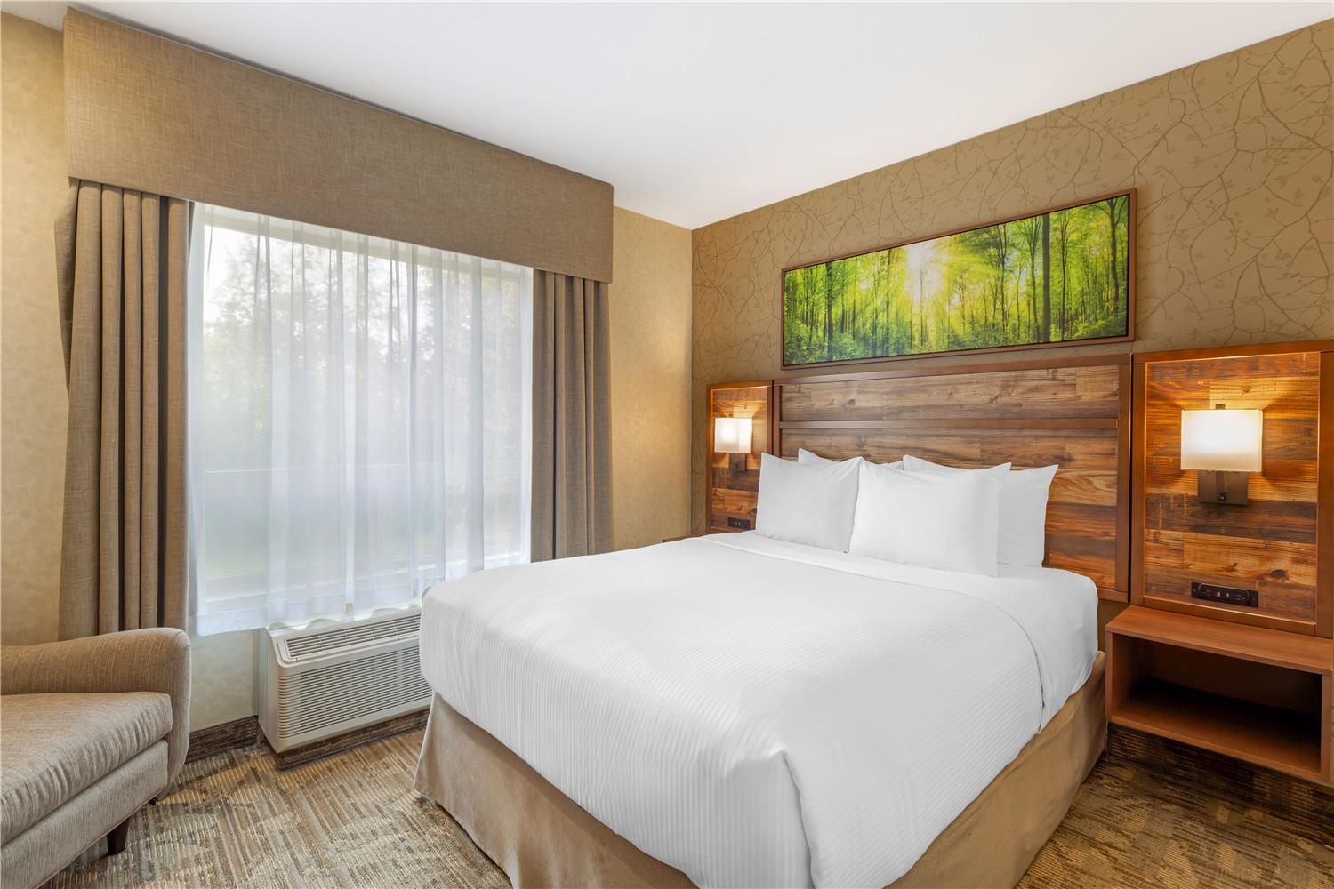 Suite, Queen Bed, Sofa