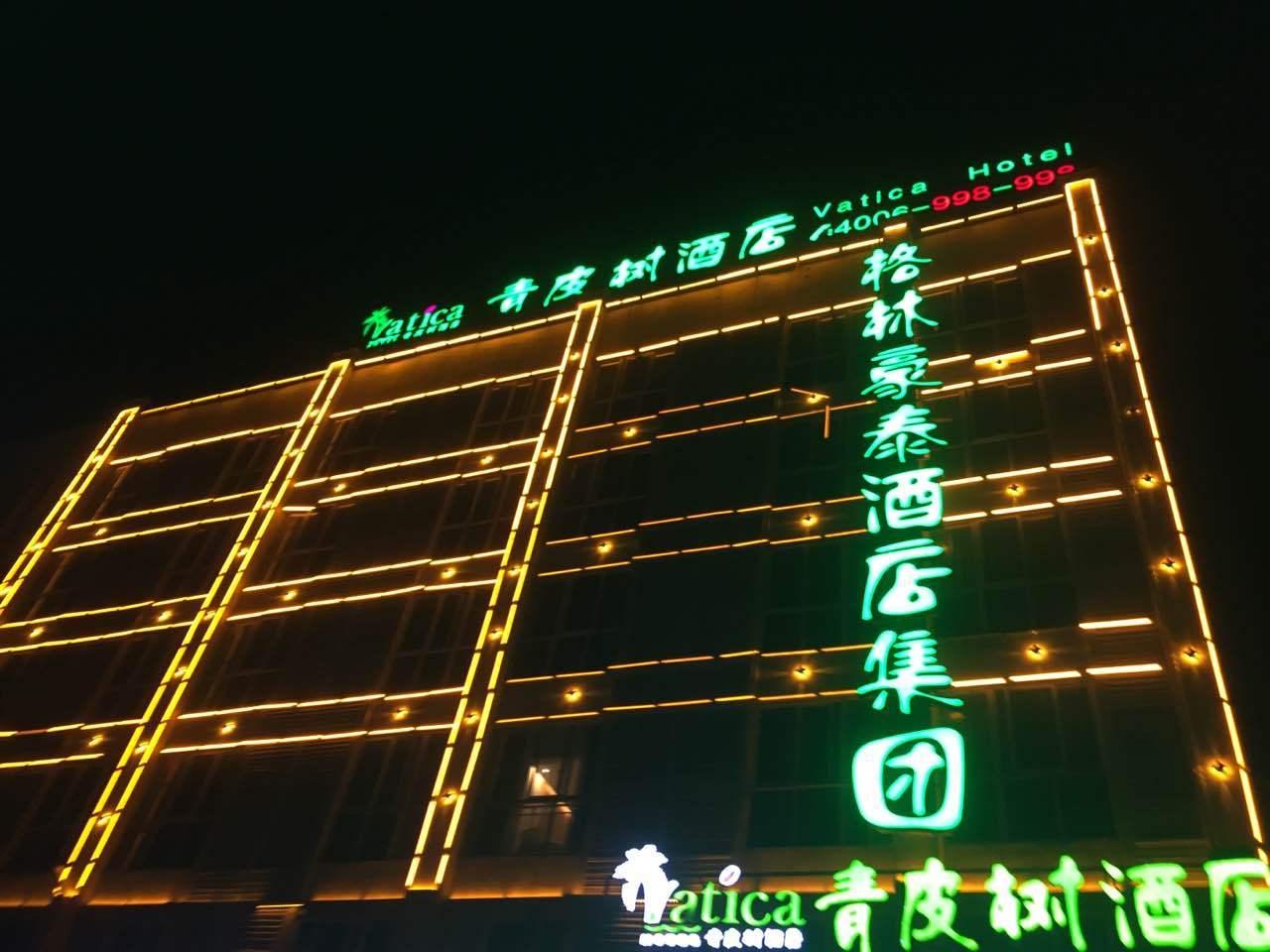 Vatica Jieshou City New Passenger Transport Center Hotel in FUYANG