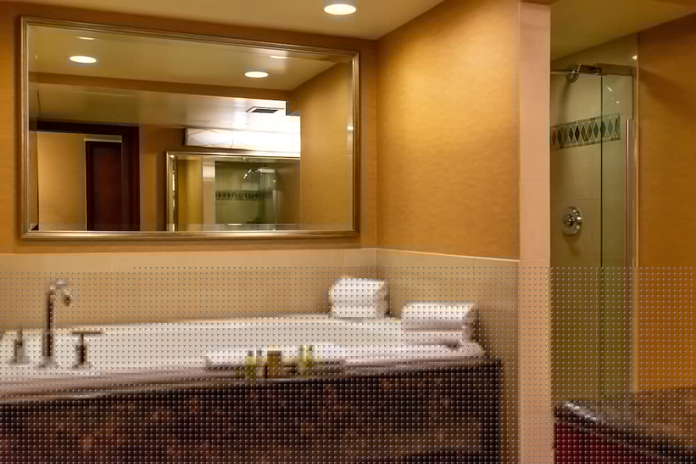 Doubletree Hotel San Jose 15/43