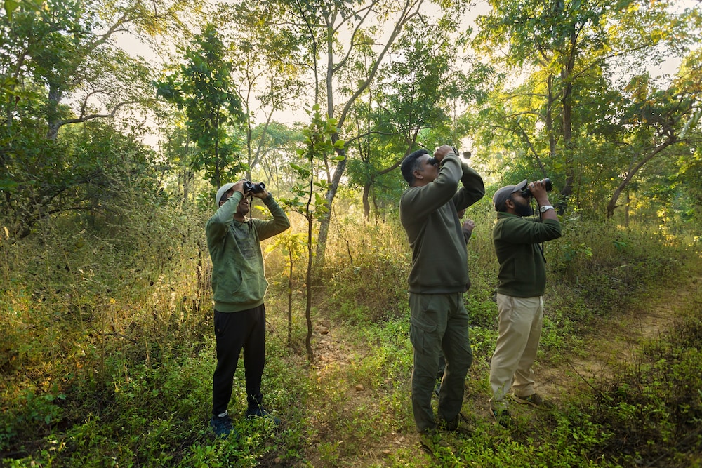 Pench Jungle Camp 63/71