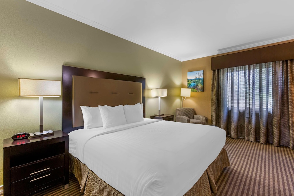 غرفة أساسية مفردة بسرير كينج، Royal Sun Inn & Suites 3/6
