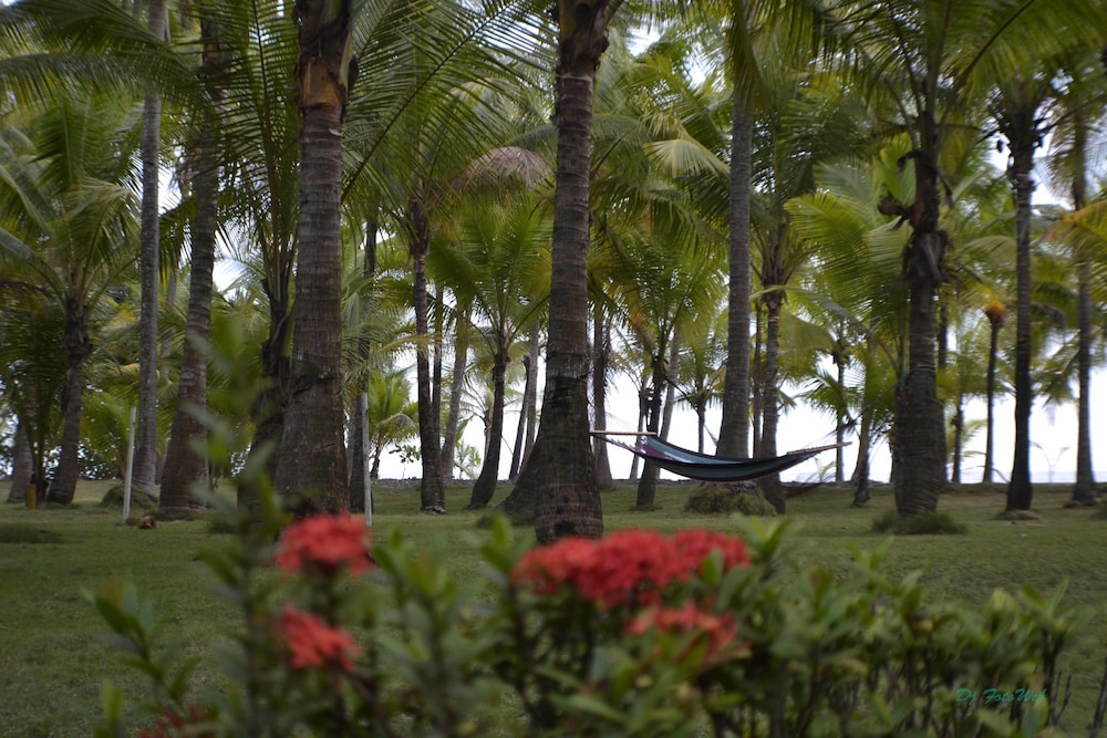La Isla Hotel 30/35