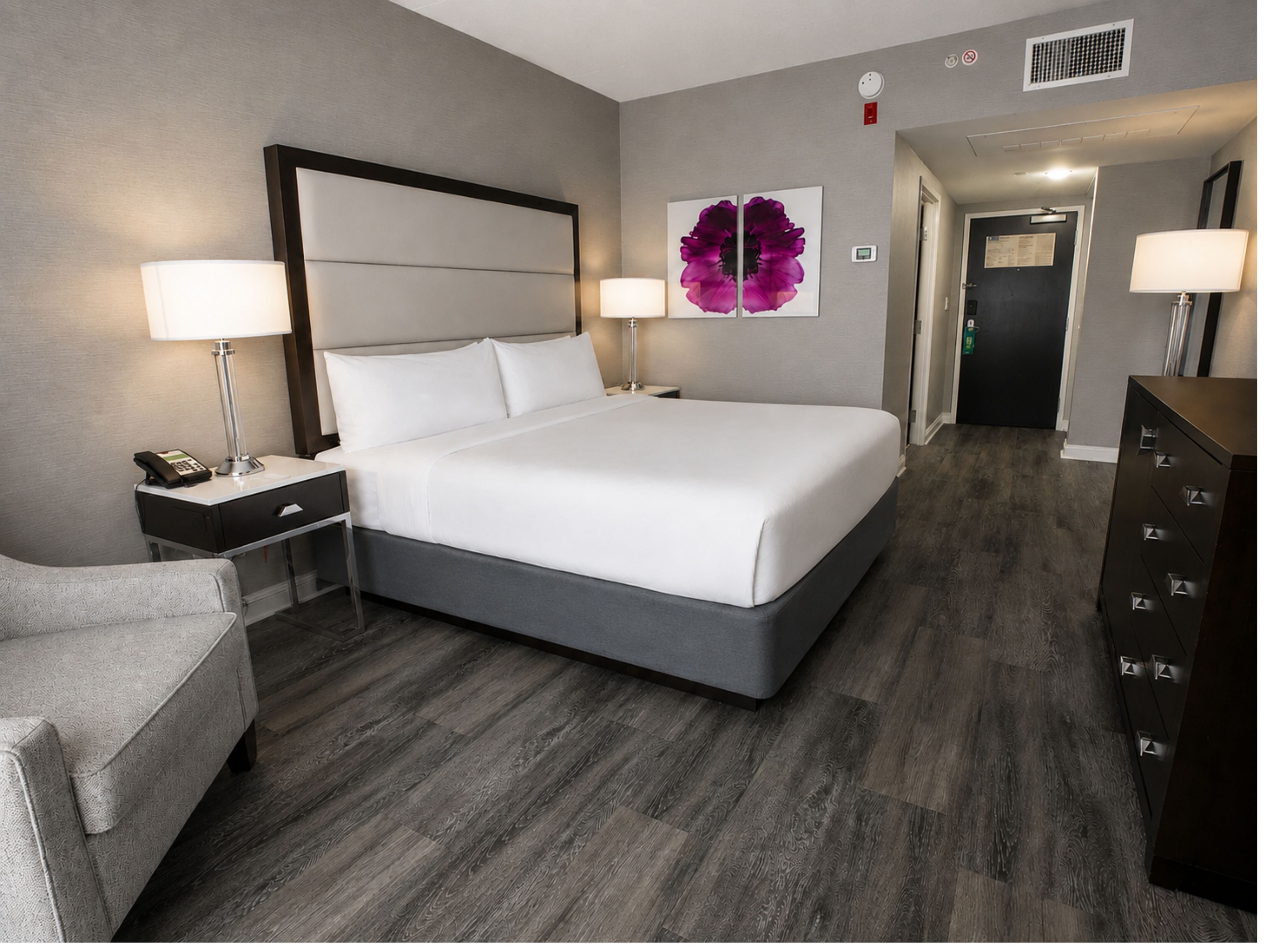 Leisure, King Bed، Holiday Inn Wilmington 10/10