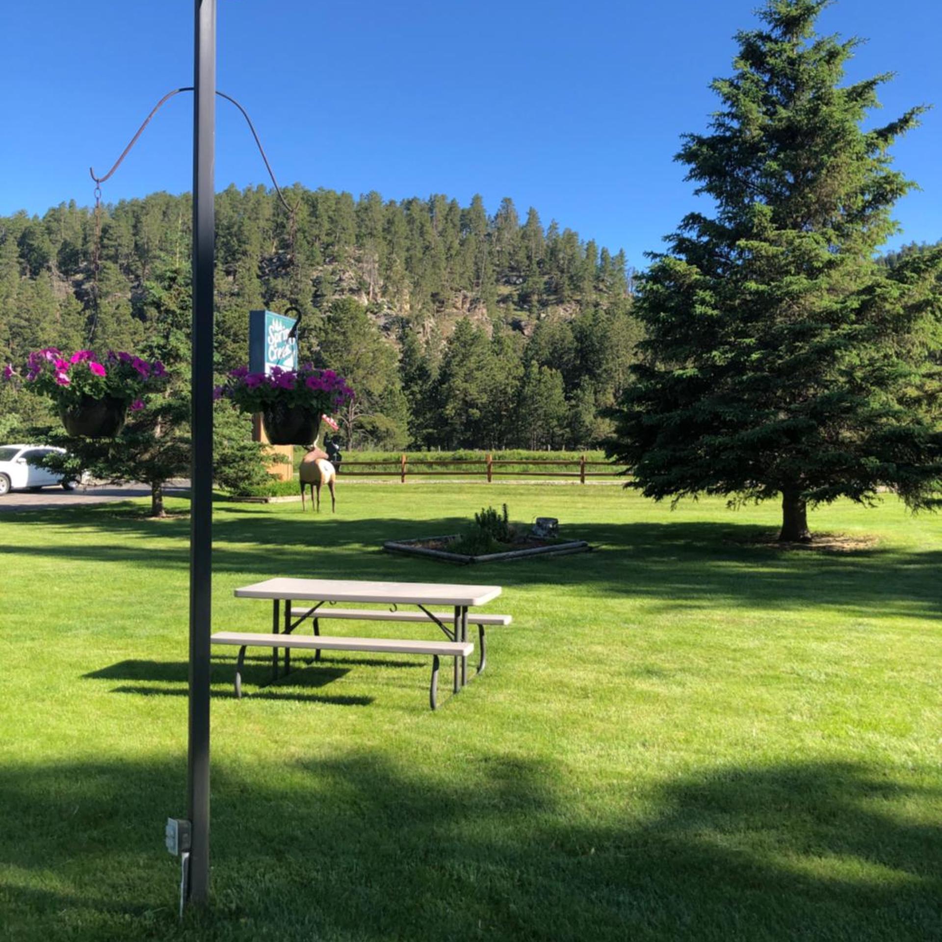 Springcreek Inn 20/22