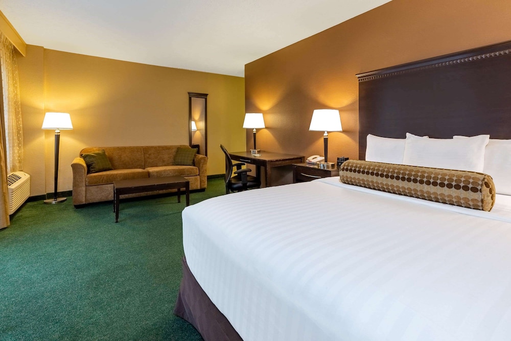 Room, Queen Bed