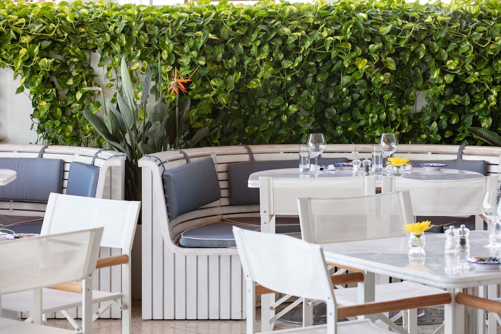 Mr. C Miami - Coconut Grove 34/49