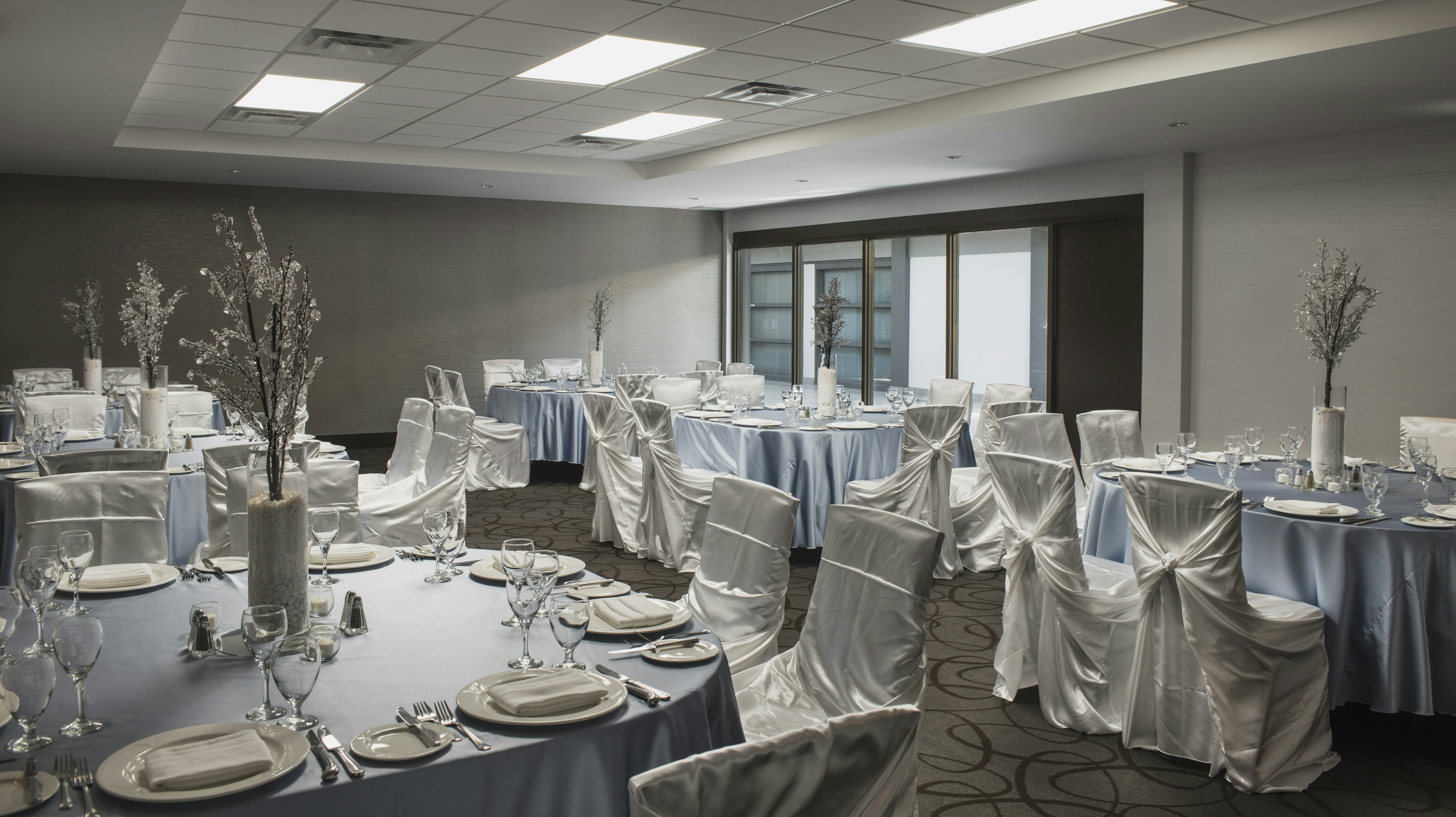Hilton Winnipeg Airport Suites 49/65