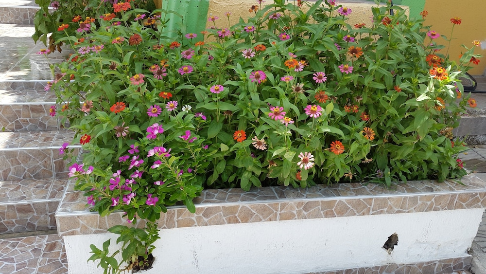 Posada Enilda 20/21