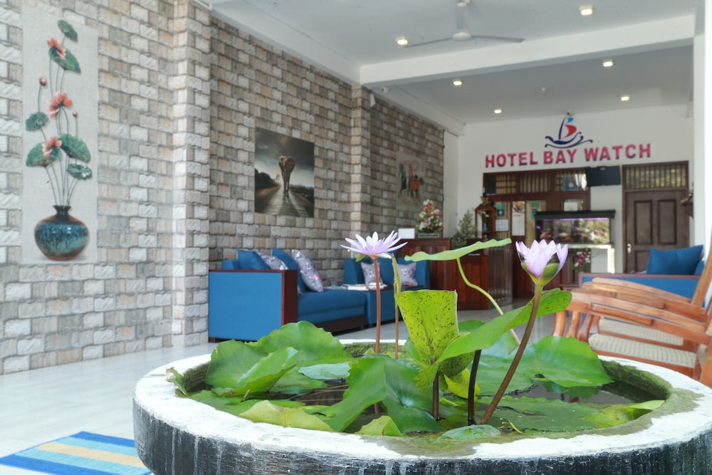Baywatch Hotel 29/50