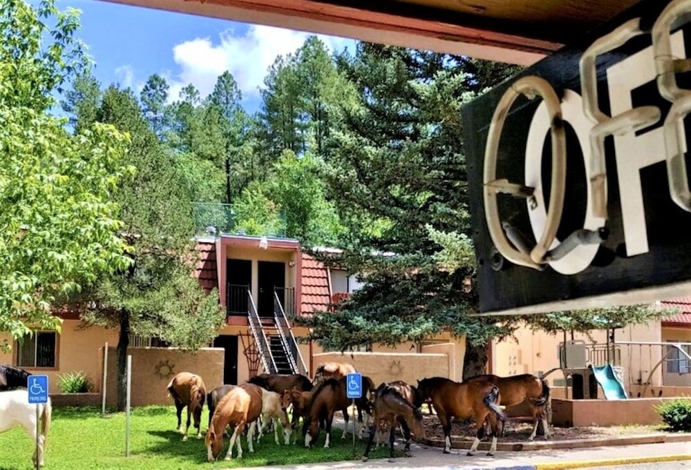 Pinecliff Village Resort 10/69