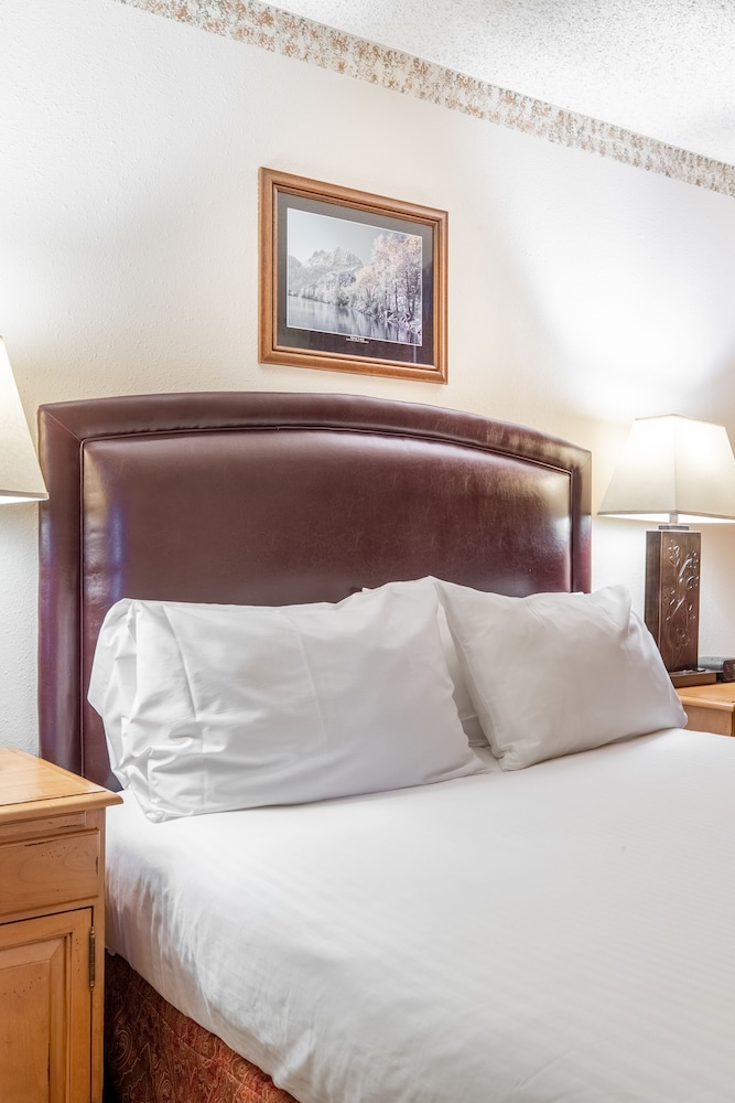 Heidelberg Inn 22/53