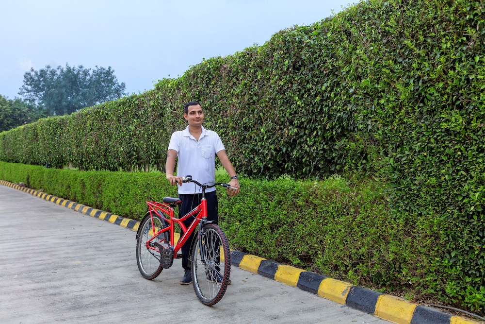 FOUR POINTS BY SHERATON NEW DELHI AIRPORT HIGHWAY 19/28