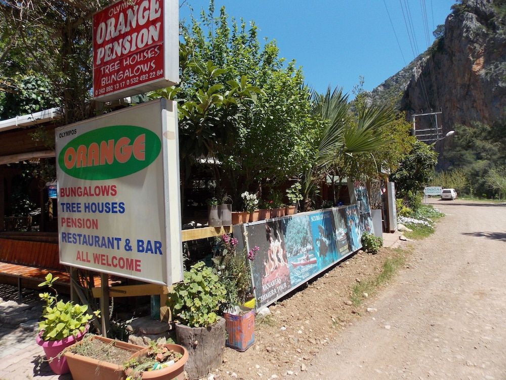 Olympos Orange 7/50
