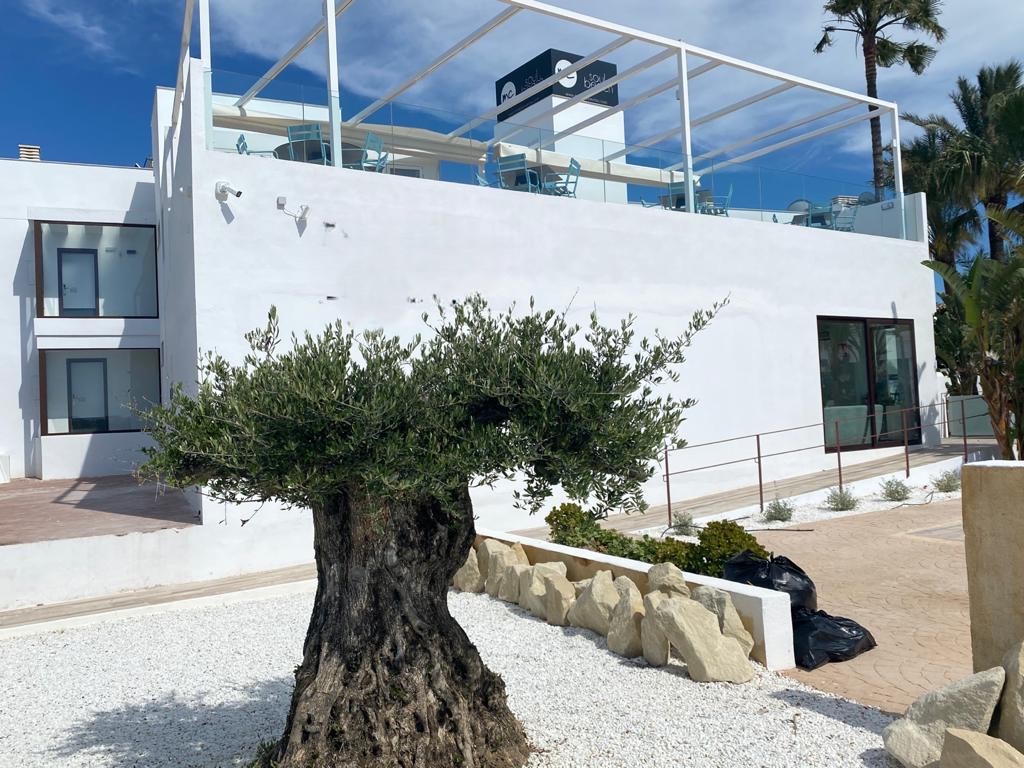 Soul Beach Hotel By Mc 25/28