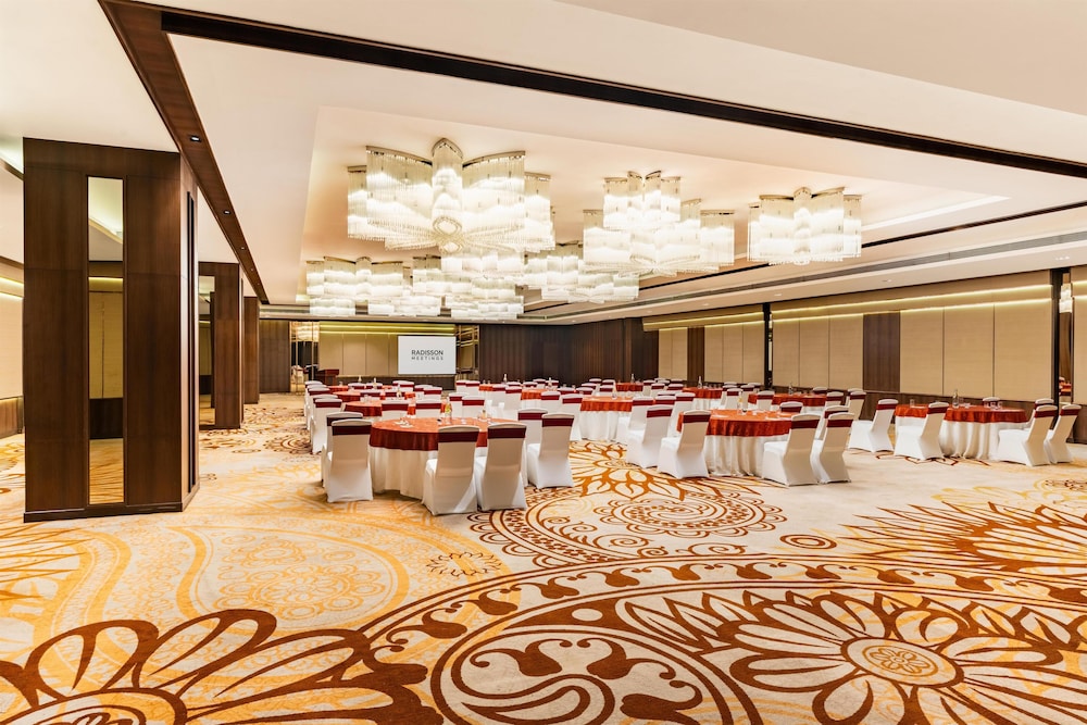 Radisson Bhopal 11/64