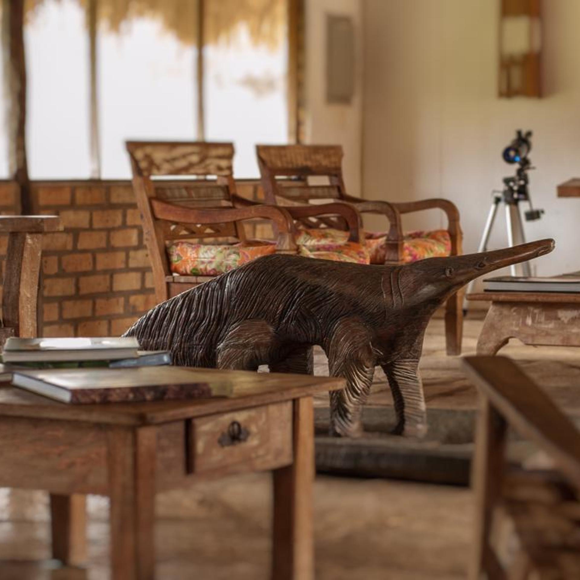 Pousada Araras Eco Lodge 22/50