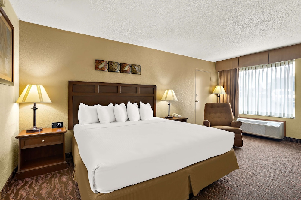 غرفة قياسية بسرير كينج لذوي الإعاقة، Best Western Center Pointe Inn 4/8