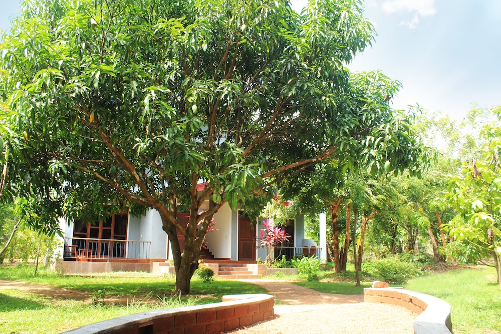 Green Hut Hotel And Restaurant. 43/50