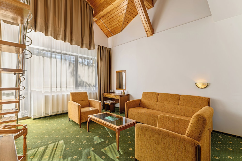 Hotel Casa Viorel 27/50