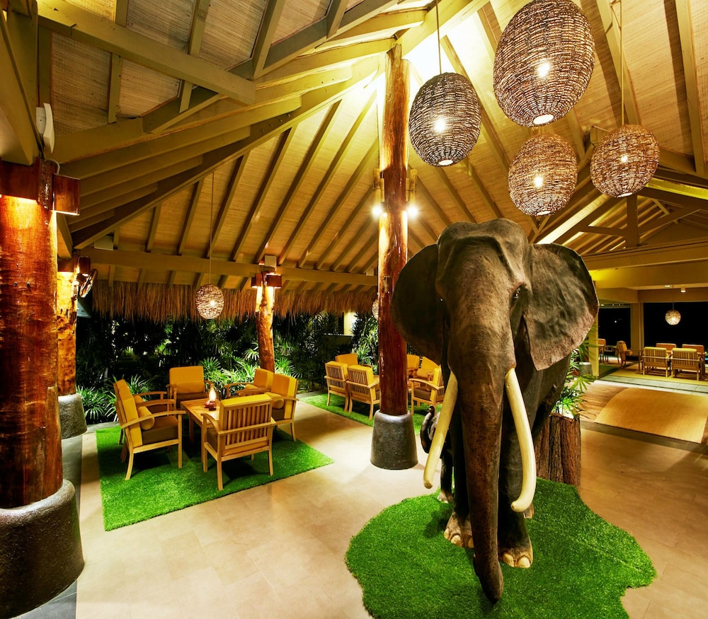 EKHO Safari Tissa 42/58