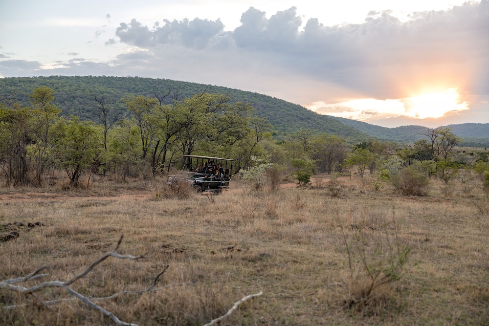 Makweti Safari Lodge 25/37