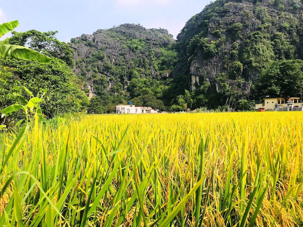 Ninh Binh Greenland Homestay 46/50