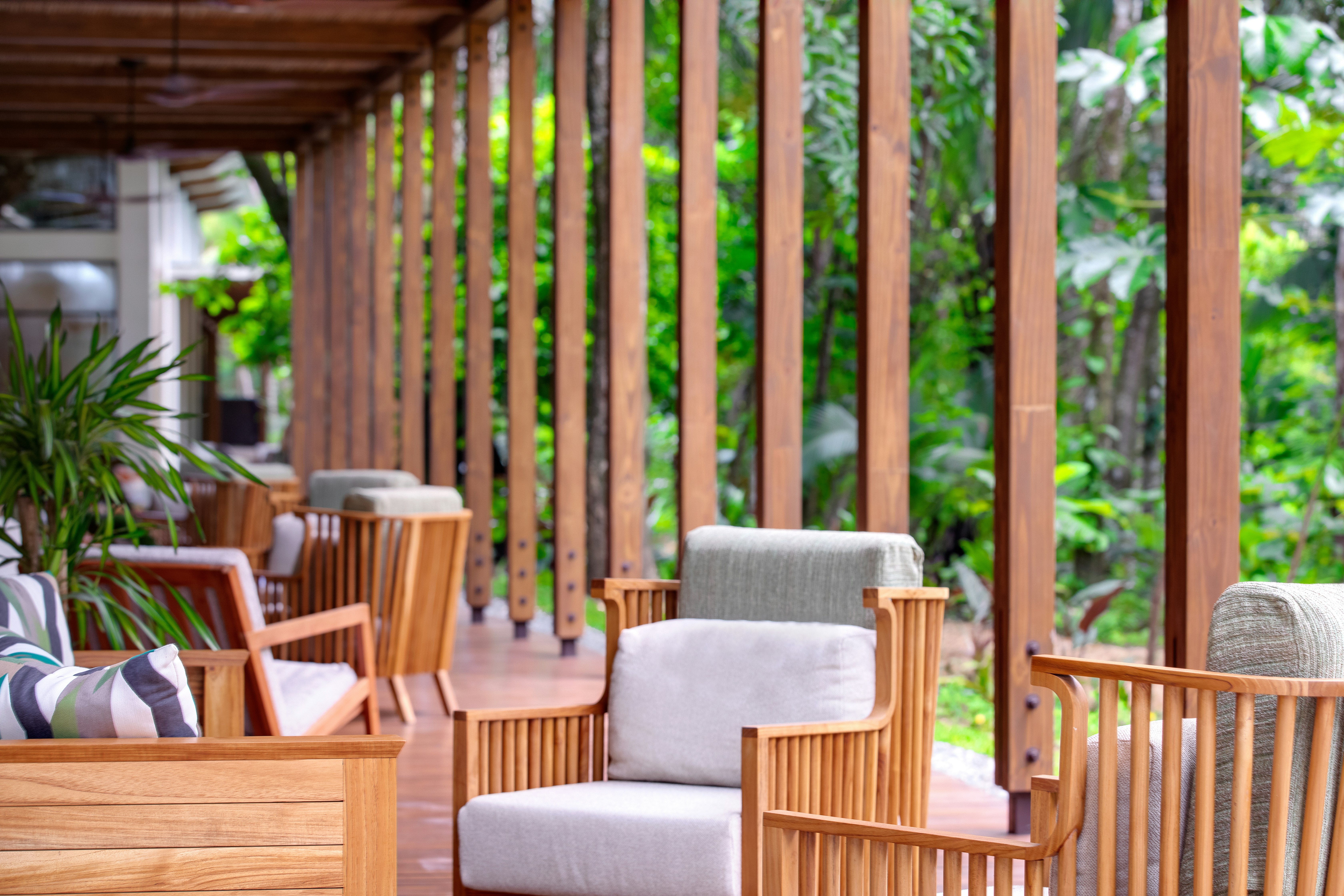 Botanika Osa Peninsula, Curio Collection by Hilton 56/73