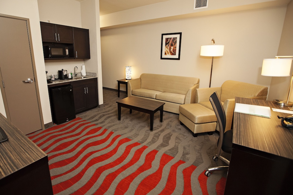 Holiday Inn & Suites Houston West - Westway Park, an IHG Hotel 19/59