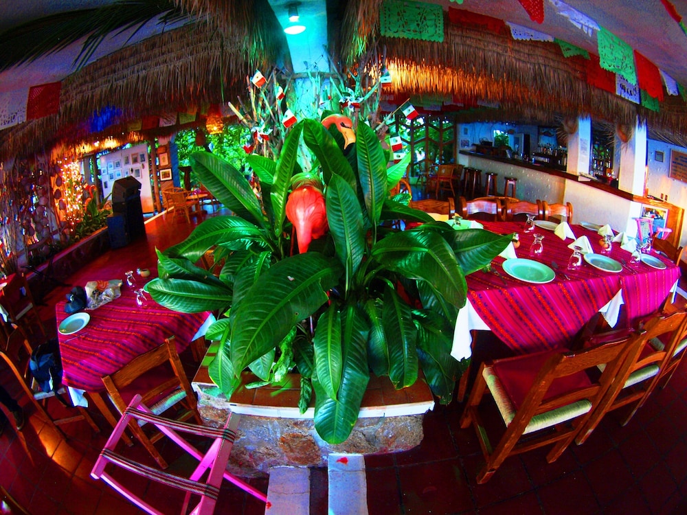Los Flamingos Hotel 12/47
