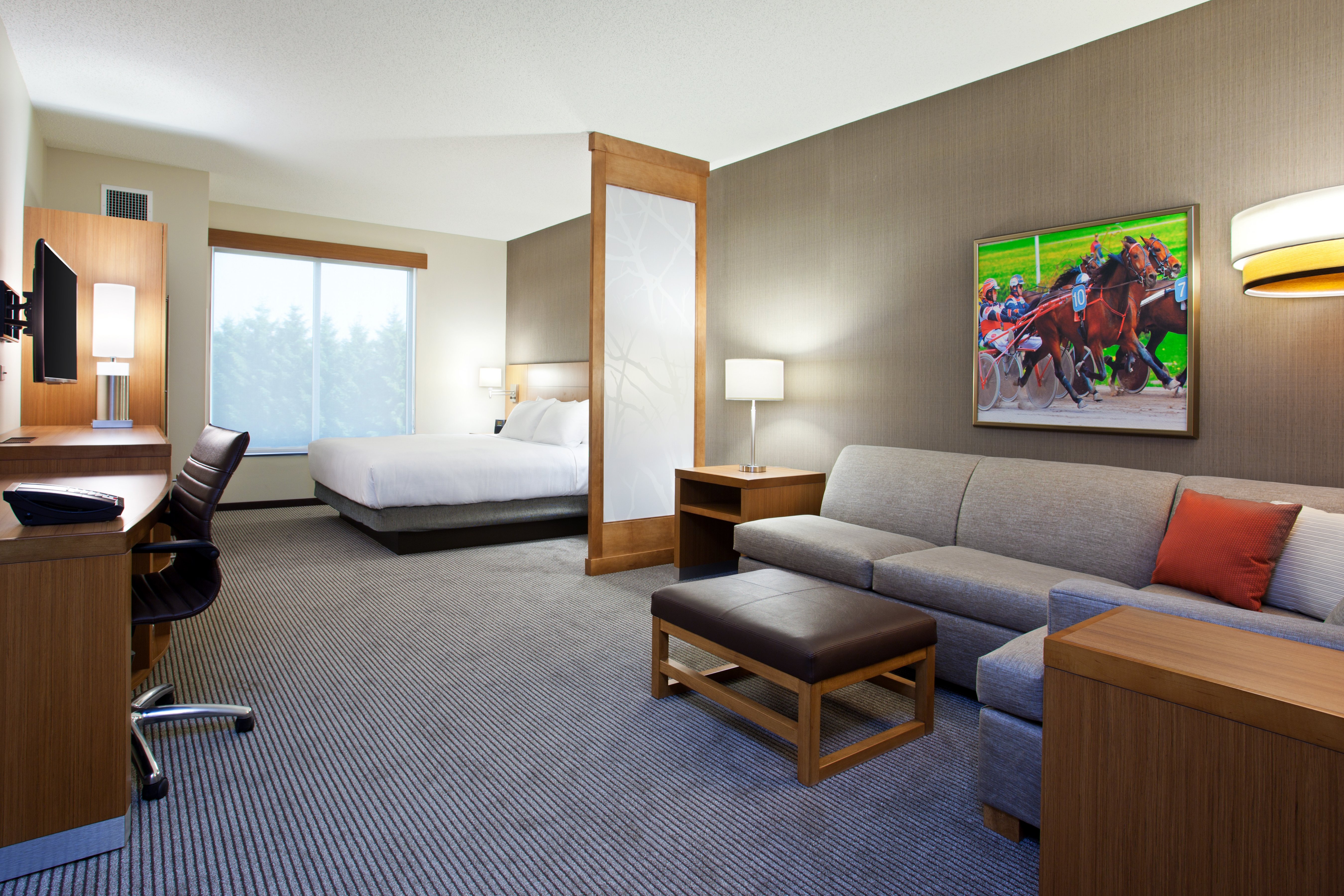 Hyatt Place at The Hollywood Casino Pittsburgh South 39/60