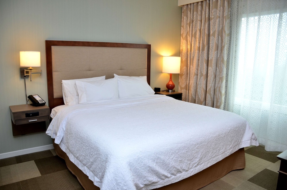Hampton Inn Suites Deland 30/77