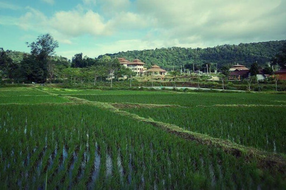 Phurua Sanctuary Resort And Spa 39/50