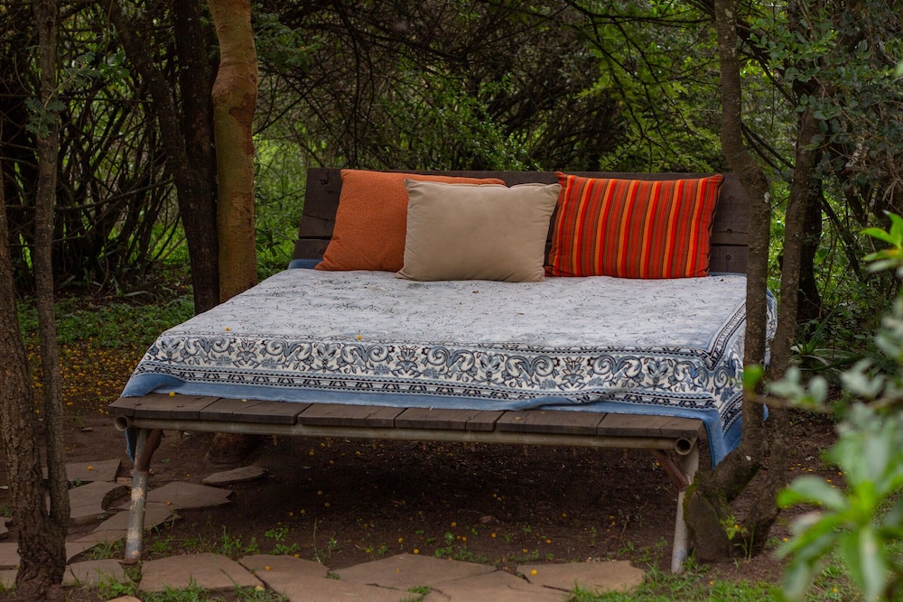 Punda Milias Camp Nakuru 24/50