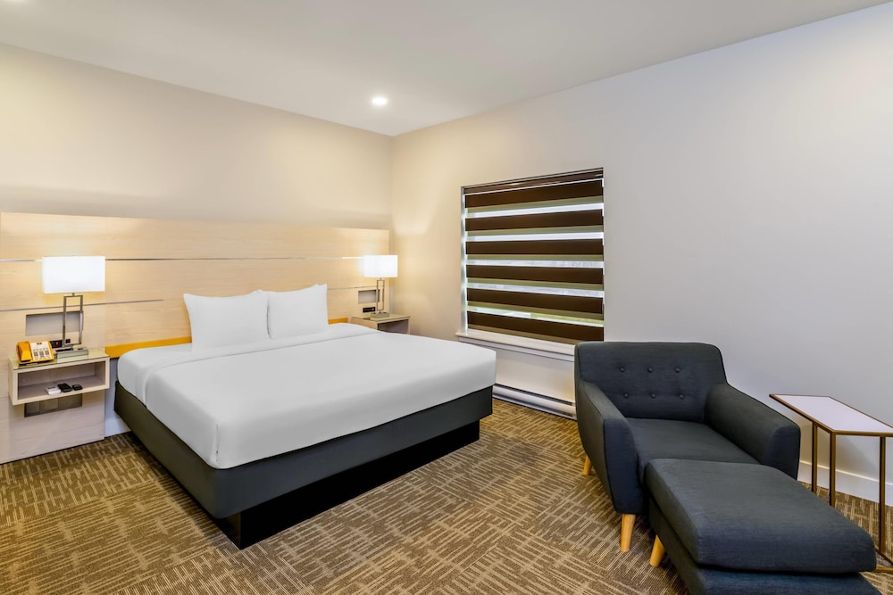 Efficiency, Suite, King and Queen Bed