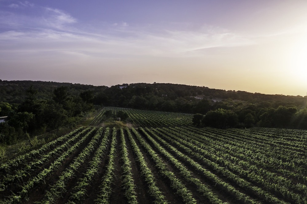 Carter Creek Winery Resort & Spa 35/39
