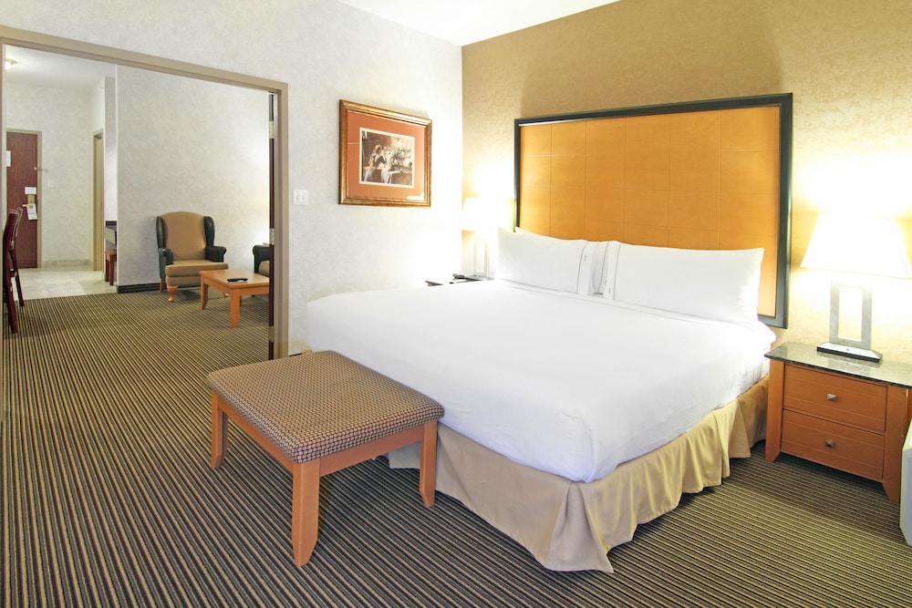 Holiday Inn Express Hotel Suites Calgary South Macleod Trail S 22/73